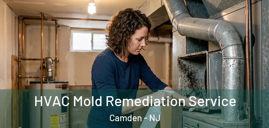  HVAC Mold Remediation Service Camden - NJ