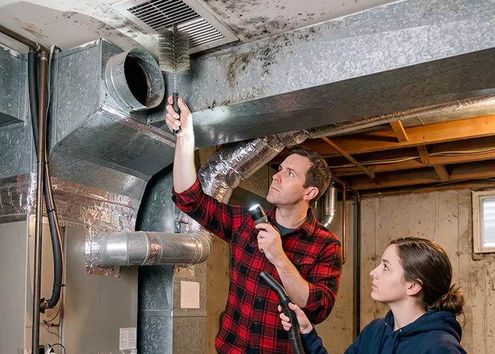 Premier HVAC Mold Remediation Company in Camden